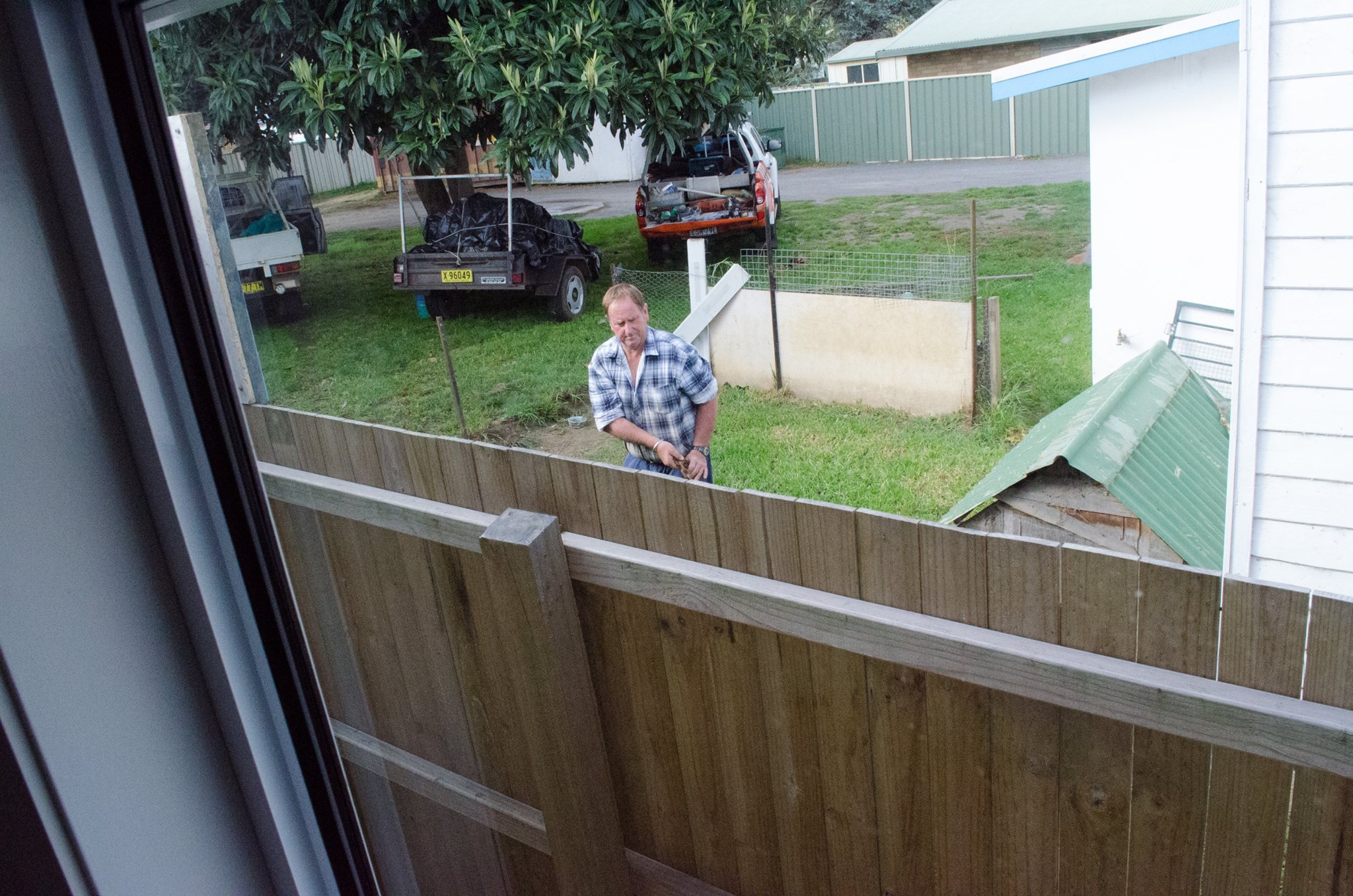 new berrima general store dog fence.jpg