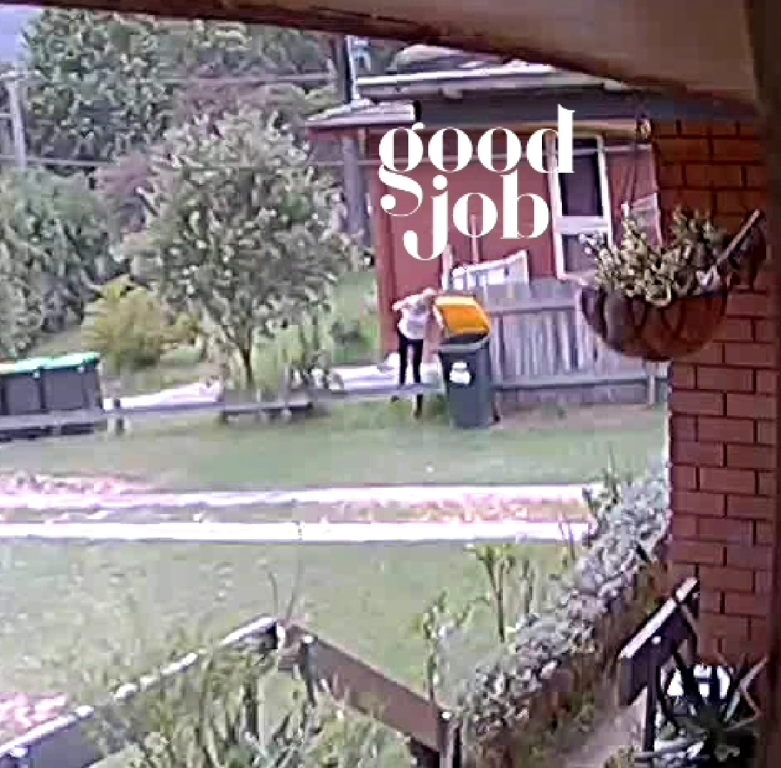 nosey neighbour
