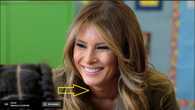 Melania Trump the ladyboy 2
