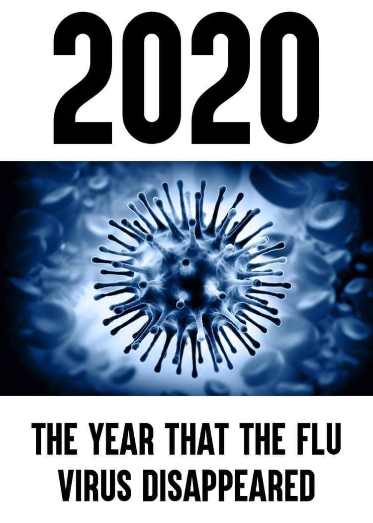 123599029_179999923666317_7118250146692973057_o.jpg