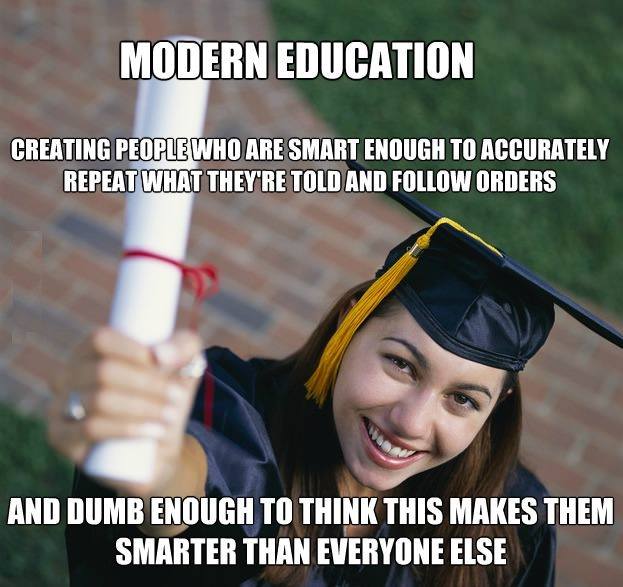 Education makes you dumb