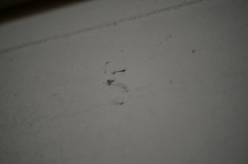 house wall damaged.jpg