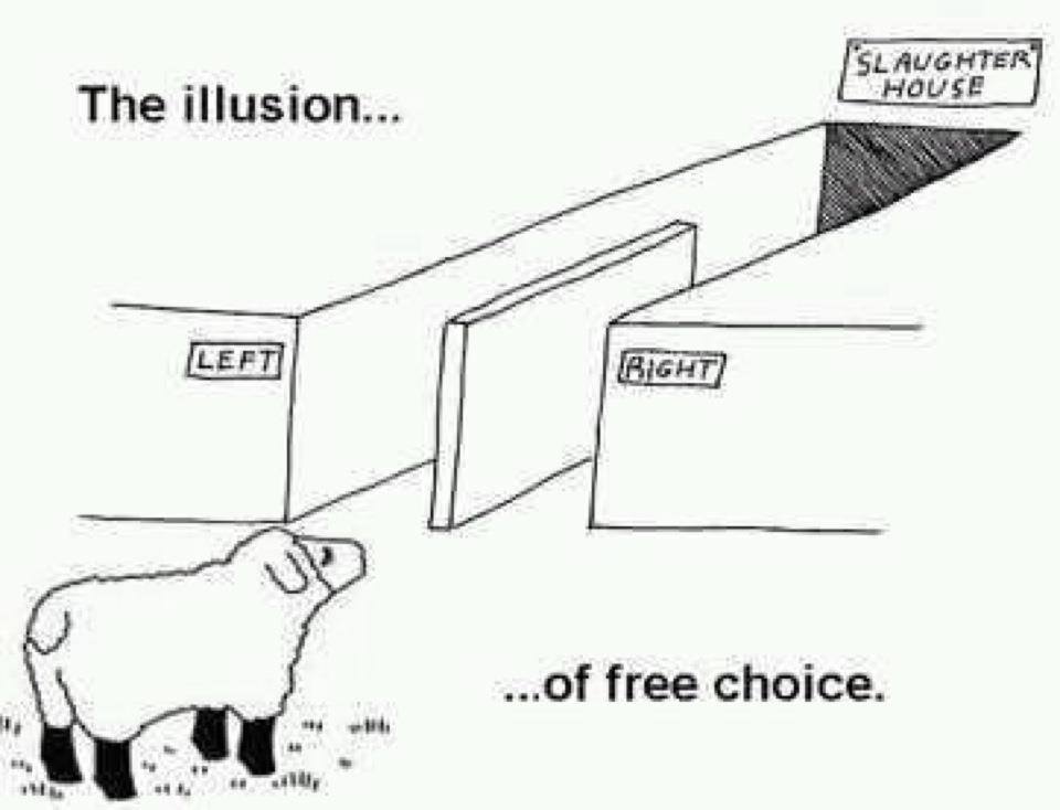 The illusion of Democracy