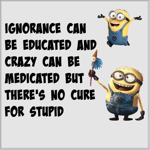 VMG03 below average IQ